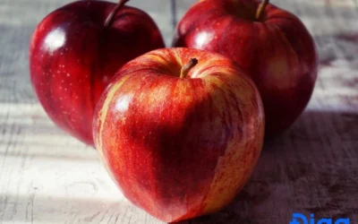 Suy thận nên ăn gì? Chế độ dinh dưỡng khoa học cho người bệnh