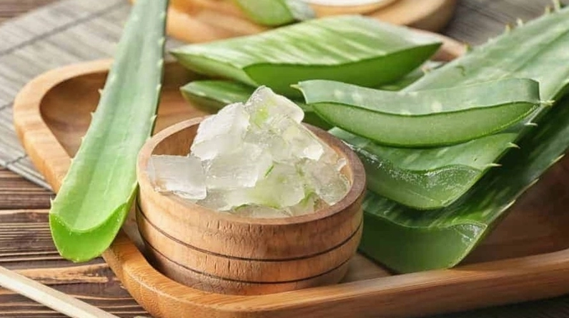 Thành phần dinh dưỡng của nha đam