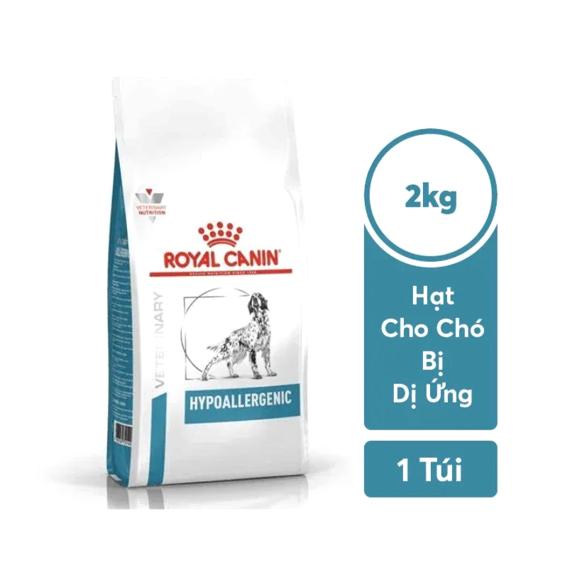 Thức ăn chuyên dụng cho chó bị dị ứng da