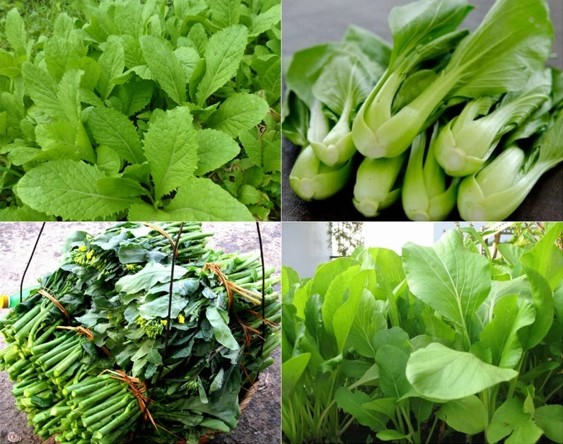 Thực phẩm người viêm đại tràng nên tránh