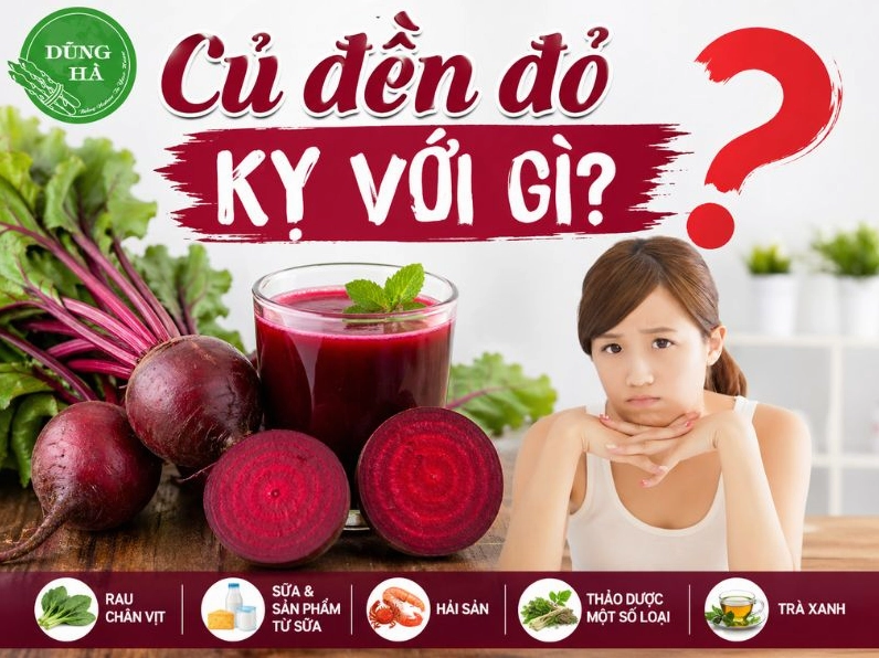 Tìm hiểu về củ dền đỏ