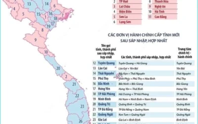 Tỉnh Bình Phước Sáp Nhập Với Tỉnh Nào 2026? Cập Nhật Mới Nhất