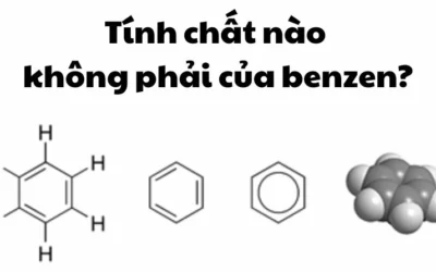 Tính chất nào không phải của benzen? Khám phá ngay!