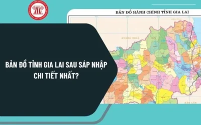 Tỉnh Gia Lai Sáp Nhập Với Tỉnh Nào? Cập Nhật Mới Nhất 2026