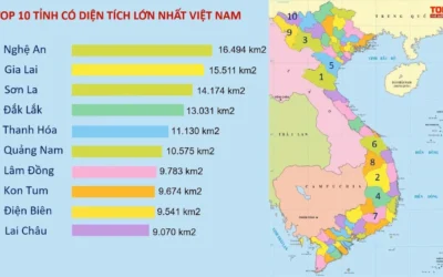 Tỉnh Nào Có Diện Tích Lớn Nhất Việt Nam? Khám Phá Ngay!