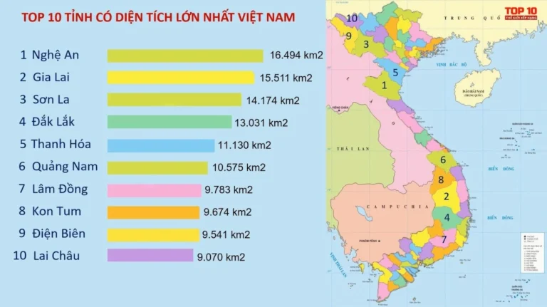 Tỉnh Nào Có Diện Tích Lớn Nhất Việt Nam? Khám Phá Ngay!