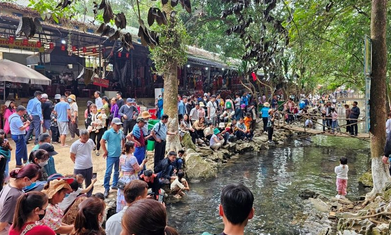 Toàn cảnh Suối Cá Thần Cẩm Lương