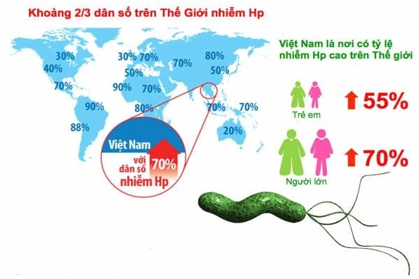 Tổng hợp những kiến thức cần biết về vi khuẩn HP gây bệnh dạ dày