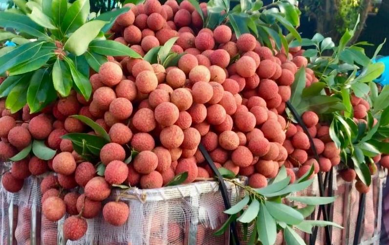 Tổng hợp những loại trái cây người tiểu đường không nên ăn