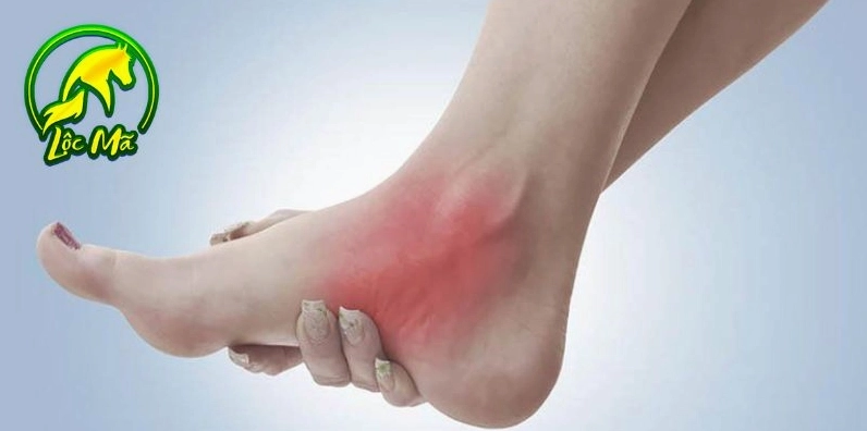 Tổng quan về cao ngựa trong y học cổ truyền
