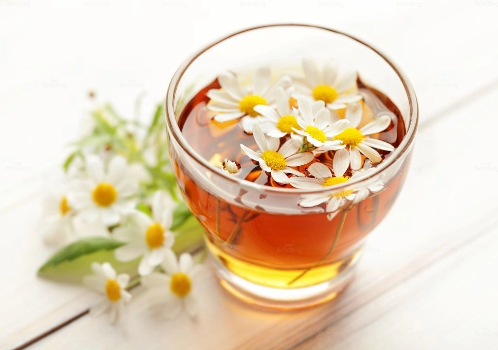 Trà hoa cúc giúp giảm đau họng