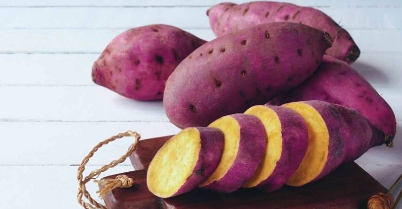Trẻ nên ăn khoai lang khi bị rối loạn tiêu hoá