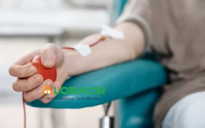 Trước Khi Hiến Máu Nên Ăn Gì Để Đảm Bảo Sức Khỏe Tốt Nhất?