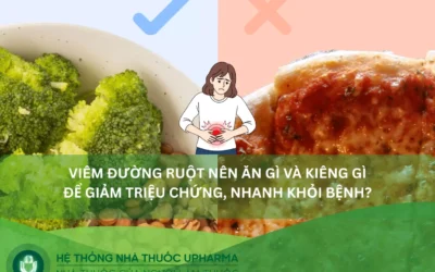 Viêm đường ruột nên ăn gì? Chế độ dinh dưỡng hồi phục nhanh từ chuyên gia