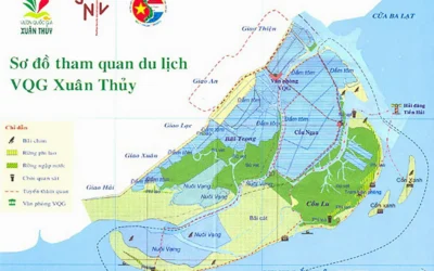 Vườn Quốc Gia Xuân Thủy Thuộc Tỉnh Nào? Khám Phá Vùng Đất Ngập Nước