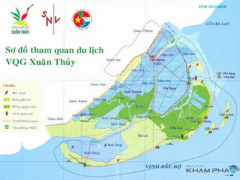 Vườn Quốc Gia Xuân Thủy Thuộc Tỉnh Nào? Khám Phá Vùng Đất Ngập Nước
