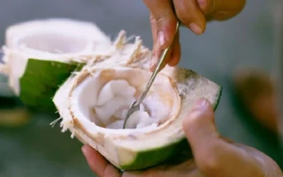 9 Nhóm Người Tuyệt Đối Không Nên Ăn Cùi Dừa