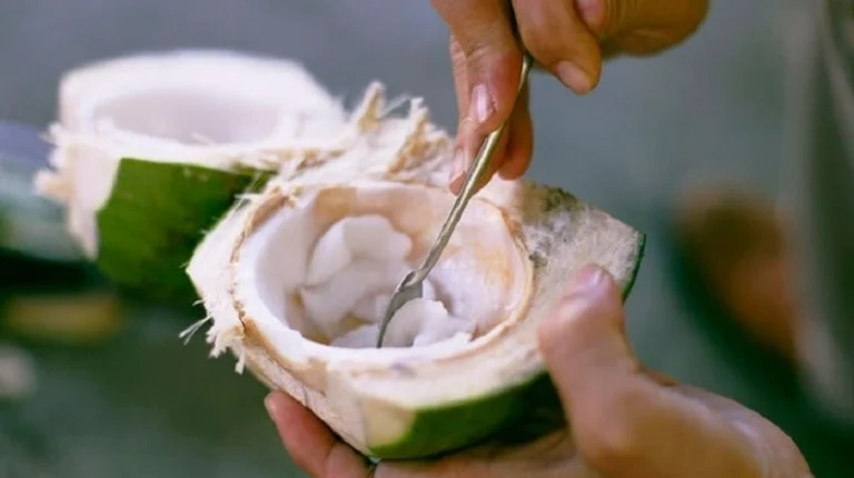 9 Nhóm Người Tuyệt Đối Không Nên Ăn Cùi Dừa