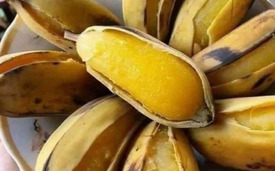 Ai Không Nên Ăn Chuối Sáp? Cảnh Báo Sức Khỏe Cần Biết