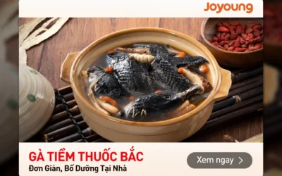 Ai Không Nên Ăn Gà Ác Tiềm Thuốc Bắc? Cảnh Báo Quan Trọng!