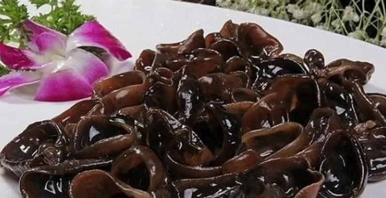 Ai Không Nên Ăn Mộc Nhĩ? 4 Nhóm Cần Cẩn Trọng Tuyệt Đối