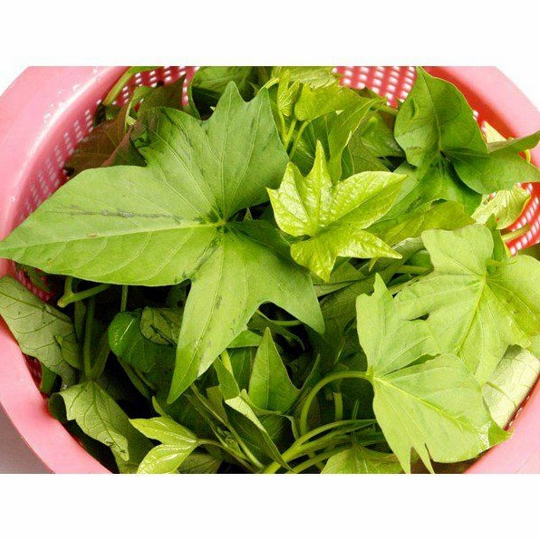 Ai Không Nên Ăn Rau Lang? 6 Nhóm Cần Cực Kỳ Cẩn Trọng