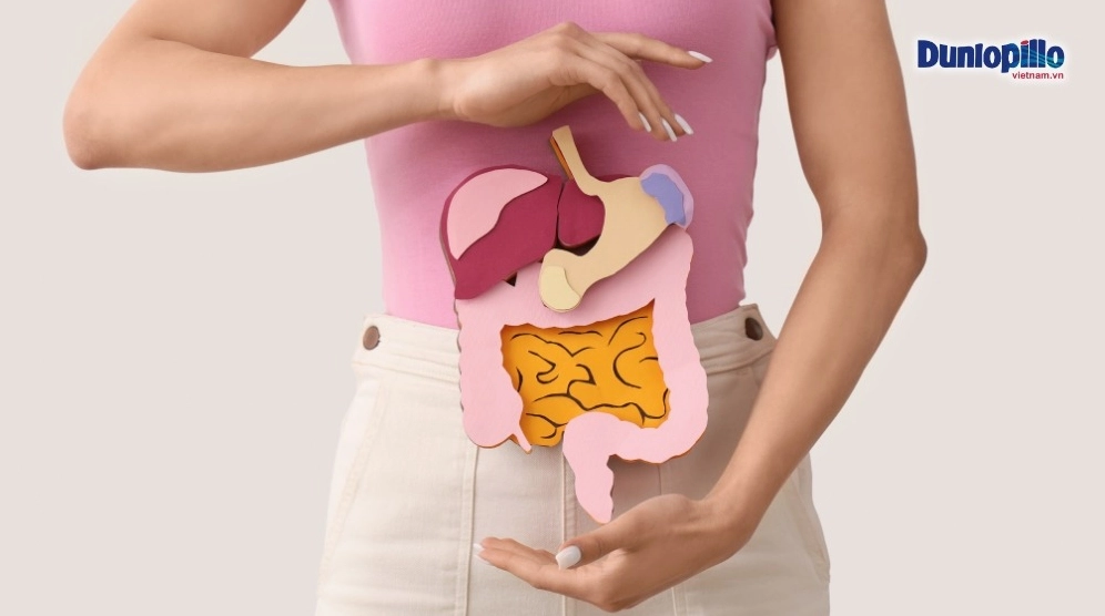 Ăn táo đỏ khô giúp cải thiện hệ tiêu hóa