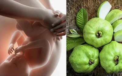 Bà Bầu Có Nên Ăn Ổi? Lợi Ích, Lưu Ý & Cách Dùng Chuẩn