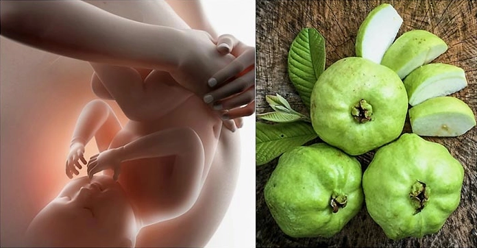 Bà Bầu Có Nên Ăn Ổi? Lợi Ích, Lưu Ý & Cách Dùng Chuẩn