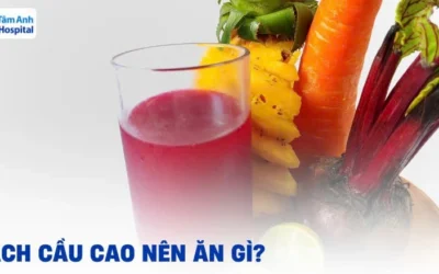 Bạch Cầu Cao Nên Ăn Gì? Chế Độ Dinh Dưỡng Tối Ưu Cải Thiện Tình Trạng
