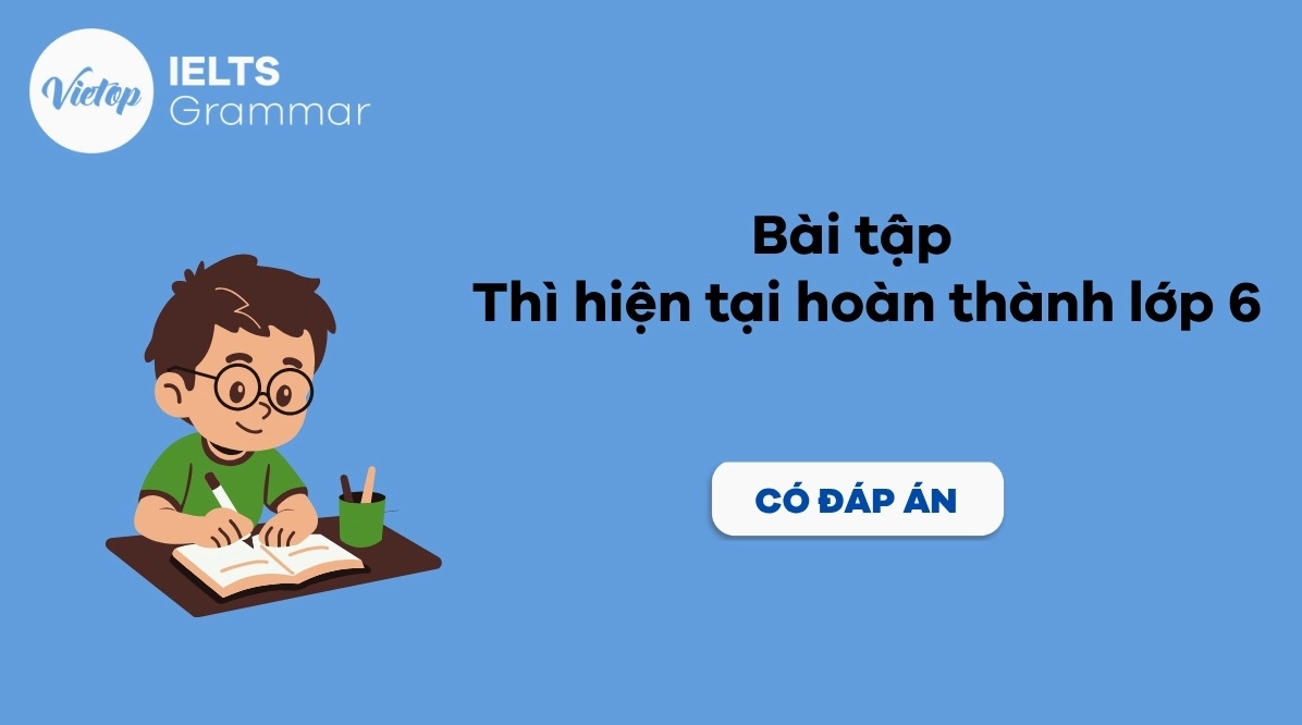 Bài tập thì hiện tại hoàn thành lớp 6