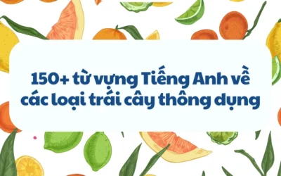 Bật mí Các Loại Quả trong Tiếng Anh: Tên Gọi & Ý Nghĩa Bất Ngờ!