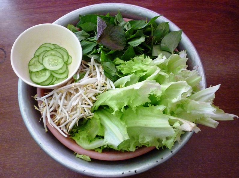 Bệnh giun đũa chó: Hiểu đúng về chế độ ăn uống