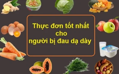 Bị Dạ Dày Nên Ăn Gì? Chuyên Gia Hé Lộ Thực Đơn Tốt Nhất 2026