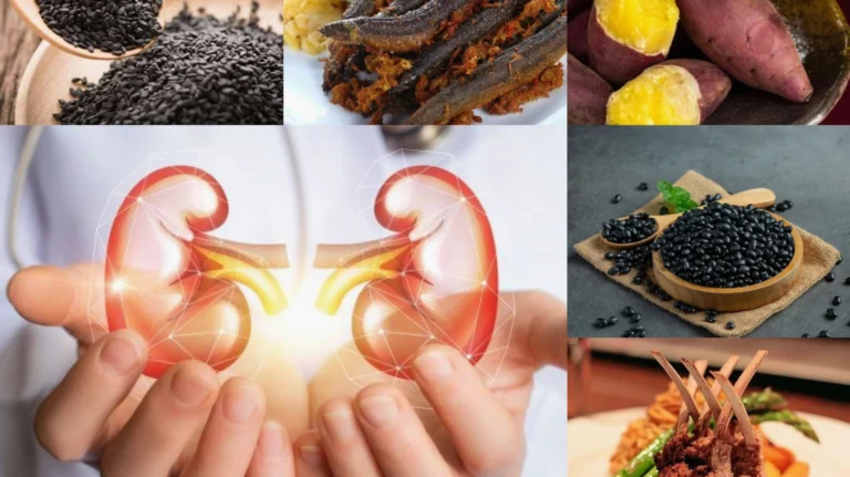 Bị Suy Thận Nên Ăn Gì? Tuyệt Chiêu Cải Thiện Chức Năng Thận
