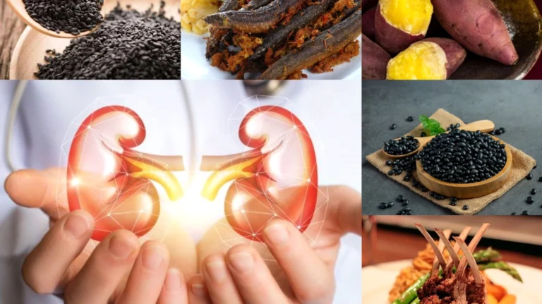 Bị thận nên ăn gì? 15+ thực phẩm vàng giúp thận khỏe mạnh