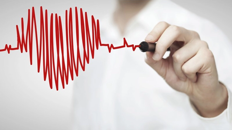Cà tím giúp giảm nguy cơ mắc bệnh tim mạch