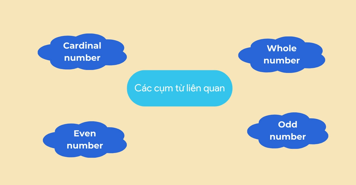 Các cụm từ liên quan đến số đếm