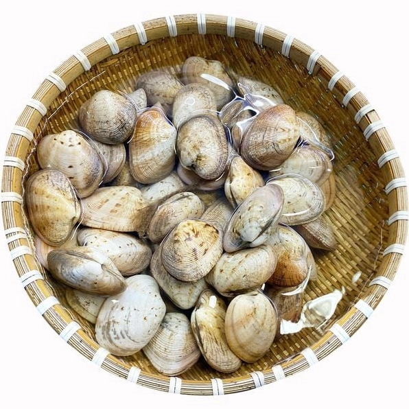 Các loại hải sản tươi ngon