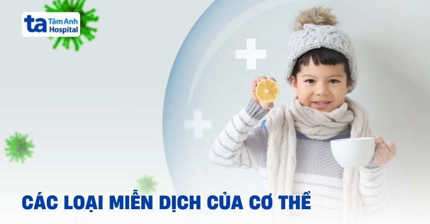 Các loại miễn dịch trong cơ thể: Vai trò và cơ chế hoạt động