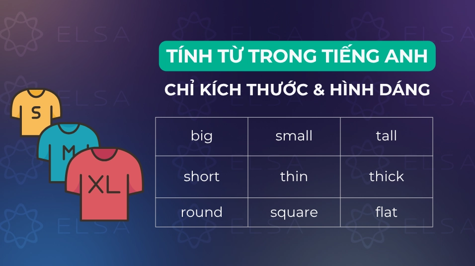 Các tính từ trong tiếng anh về kích thước và hình dáng