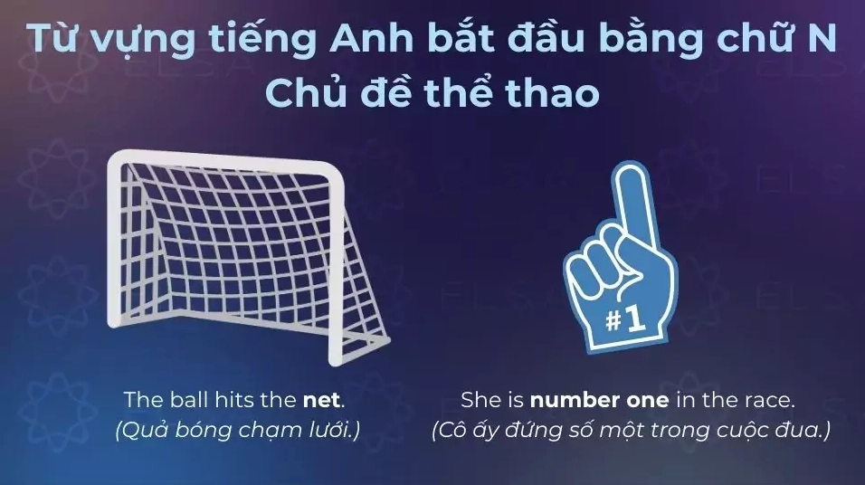 Các từ tiếng Anh bắt đầu bằng chữ N trong chủ đề thể thao