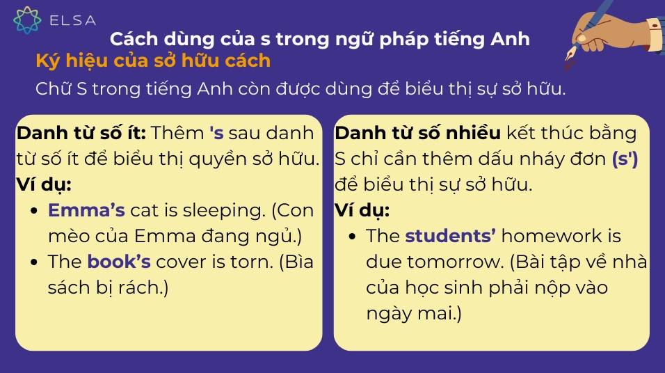 Cách dùng của s trong ngữ pháp dạng sở hữu cách
