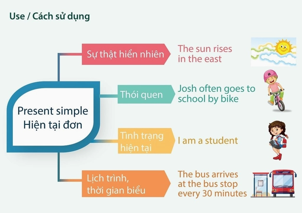 Cách sử dụng thì hiện tại đơn