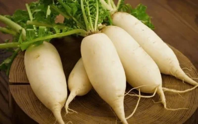 Cảnh báo: Những ai không nên ăn củ cải trắng để tránh rước họa