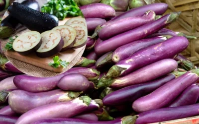 Cảnh báo: Những người không nên ăn cà tím kẻo rước họa