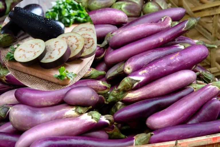 Cảnh báo: Những người không nên ăn cà tím kẻo rước họa