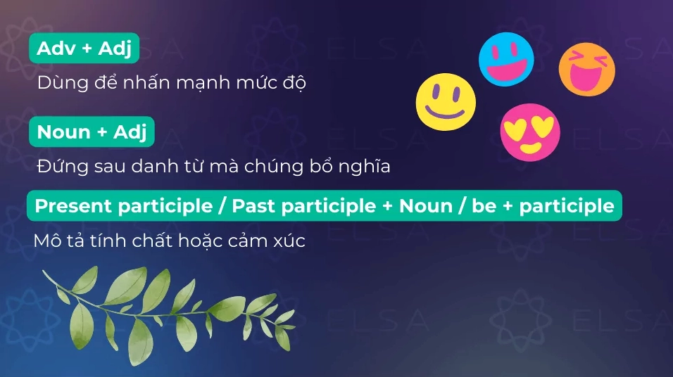 Cấu trúc tính từ đứng sau trạng từ, sau danh từ và phân từ như tính từ