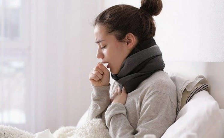 Cây rau húng quế mang lại nhiều lợi ích cho sức khỏe