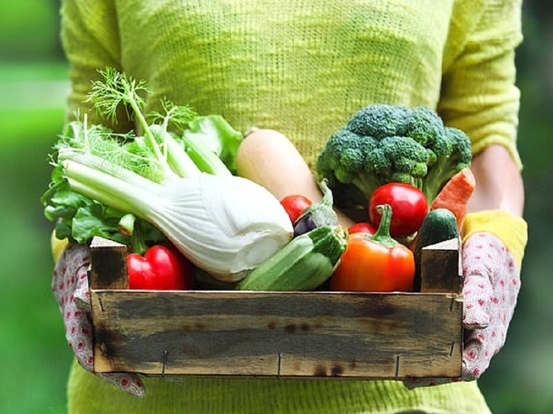 Chế độ ăn cho người gan nhiễm mỡ độ 4.